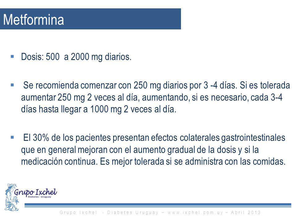 Grupo Ixchel - Diabetes Uruguay –   – Abril 2013