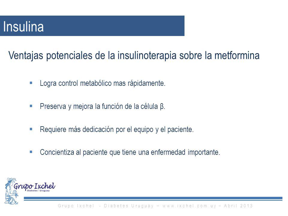 Grupo Ixchel - Diabetes Uruguay –   – Abril 2013