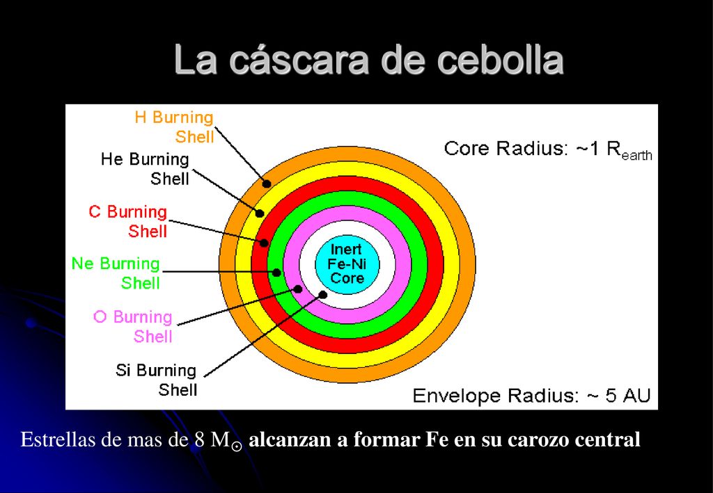 La cáscara de cebolla Estrellas de mas de 8 M alcanzan a formar Fe en su carozo central