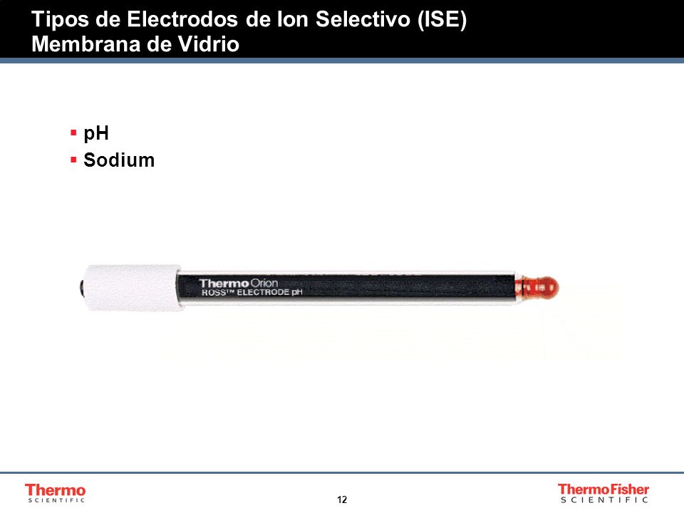 Tipos de Electrodos de Ion Selectivo (ISE) Membrana de Vidrio
