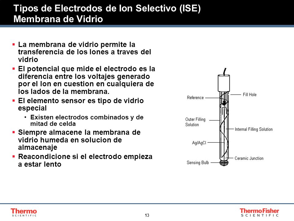 Tipos de Electrodos de Ion Selectivo (ISE) Membrana de Vidrio