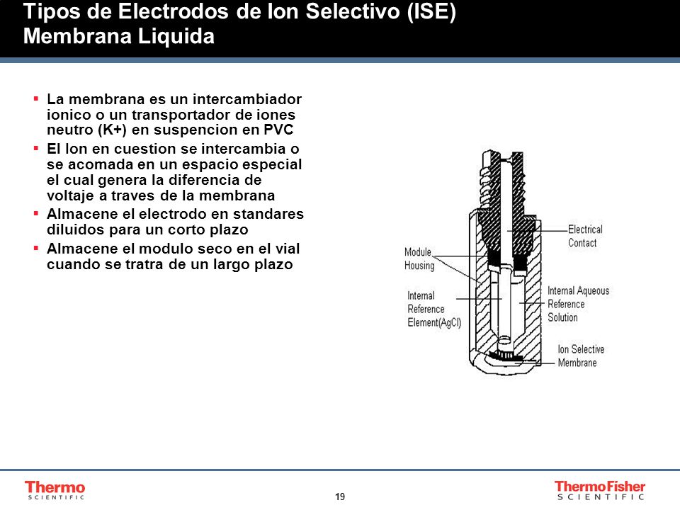Tipos de Electrodos de Ion Selectivo (ISE) Membrana Liquida