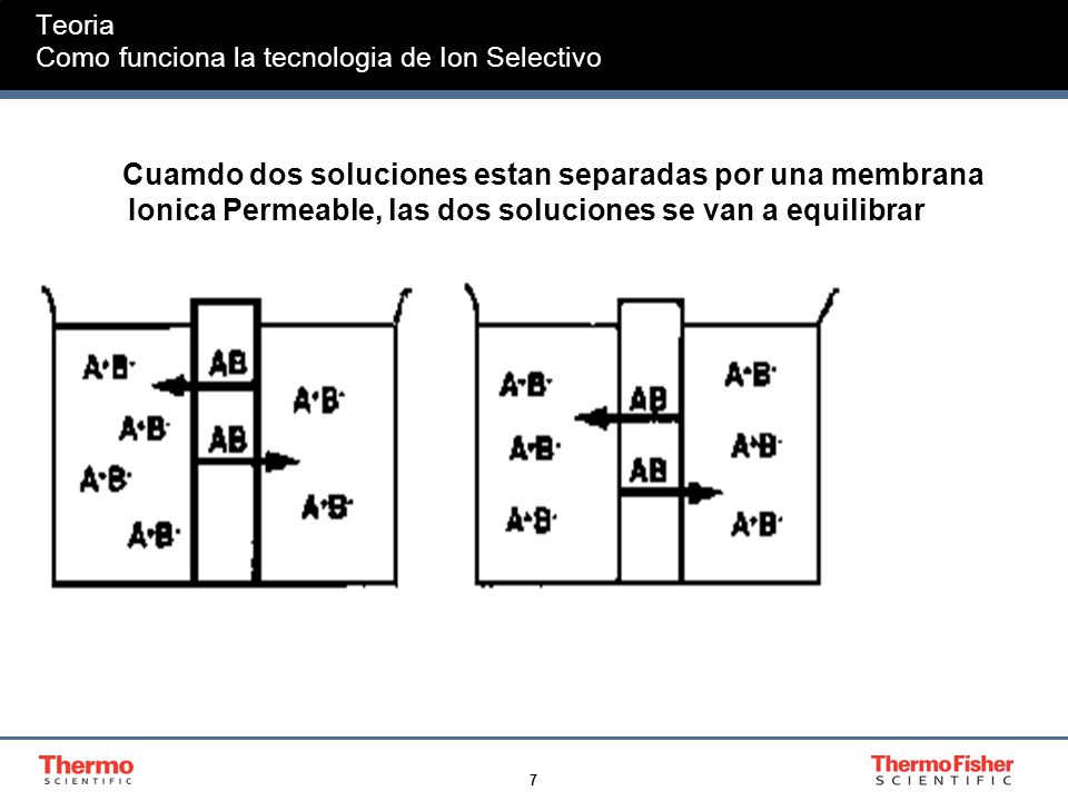 Teoria Como funciona la tecnologia de Ion Selectivo