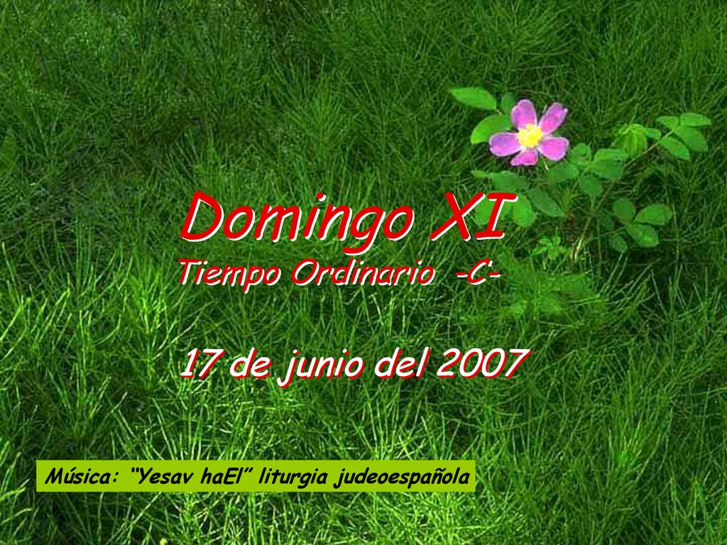 Domingo XI 17 de junio del 2007 Tiempo Ordinario -C-