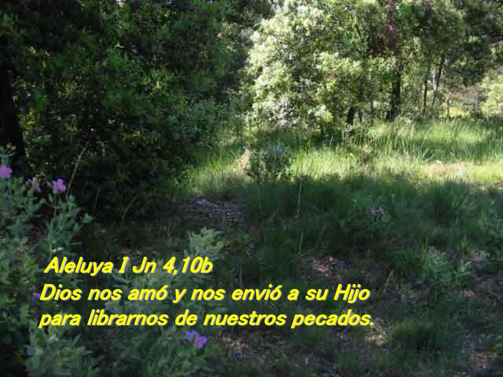 Aleluya I Jn 4,10b Dios nos amó y nos envió a su Hijo para librarnos de nuestros pecados.