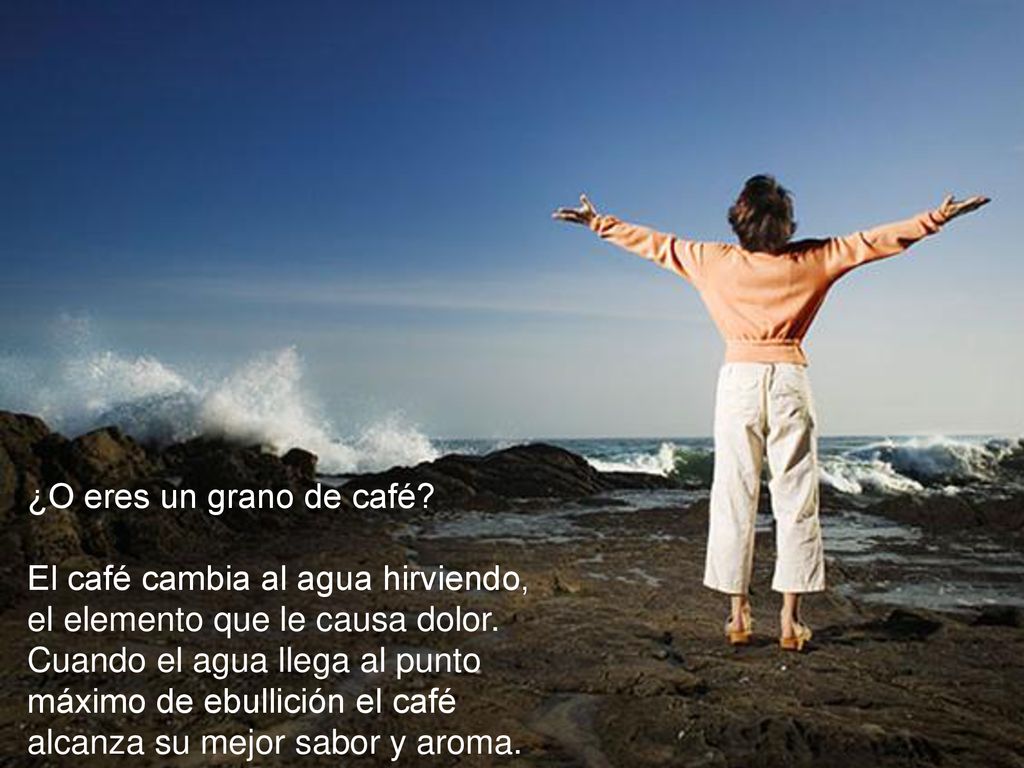 ¿O eres un grano de café El café cambia al agua hirviendo, el elemento que le causa dolor.