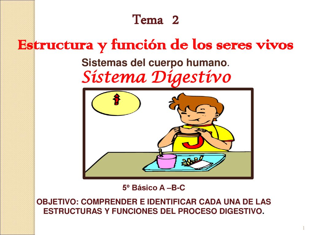 Tema 2 Estructura y función de los seres vivos Sistemas del cuerpo humano.