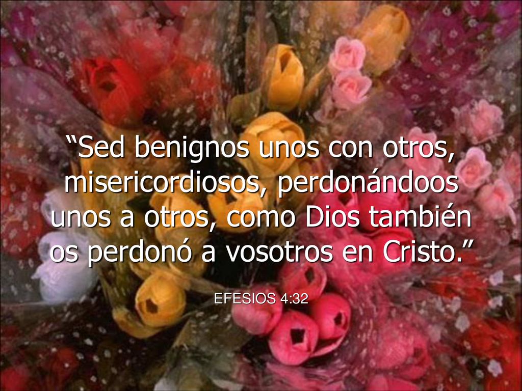Sed benignos unos con otros, misericordiosos, perdonándoos unos a otros, como Dios también os perdonó a vosotros en Cristo.