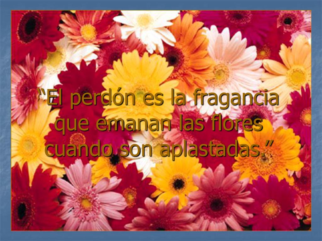 El perdón es la fragancia que emanan las flores cuando son aplastadas