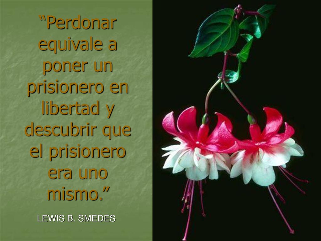 Perdonar equivale a poner un prisionero en libertad y descubrir que el prisionero era uno mismo.