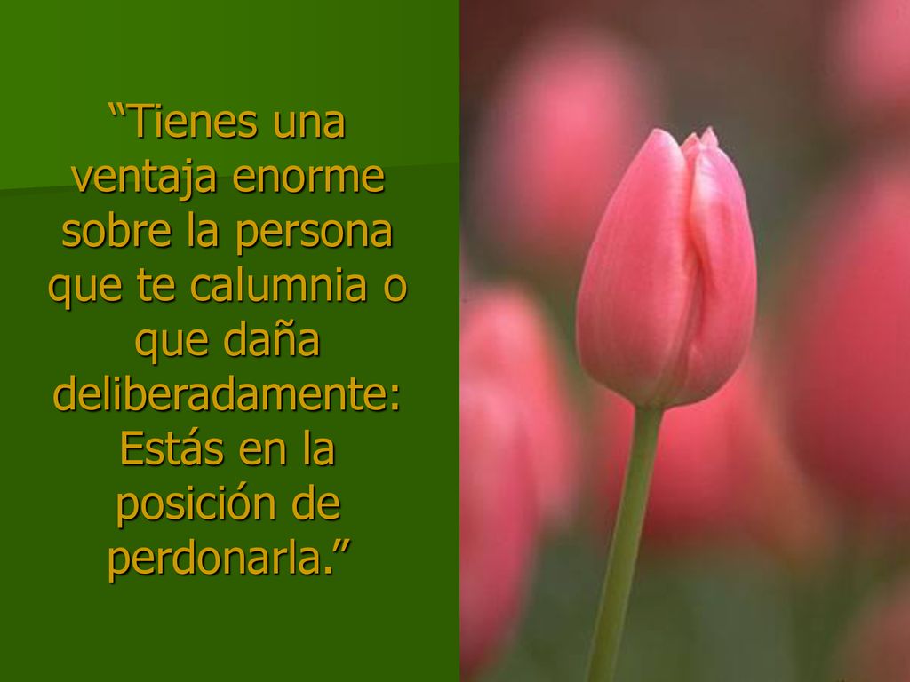 Tienes una ventaja enorme sobre la persona que te calumnia o que daña deliberadamente: Estás en la posición de perdonarla.