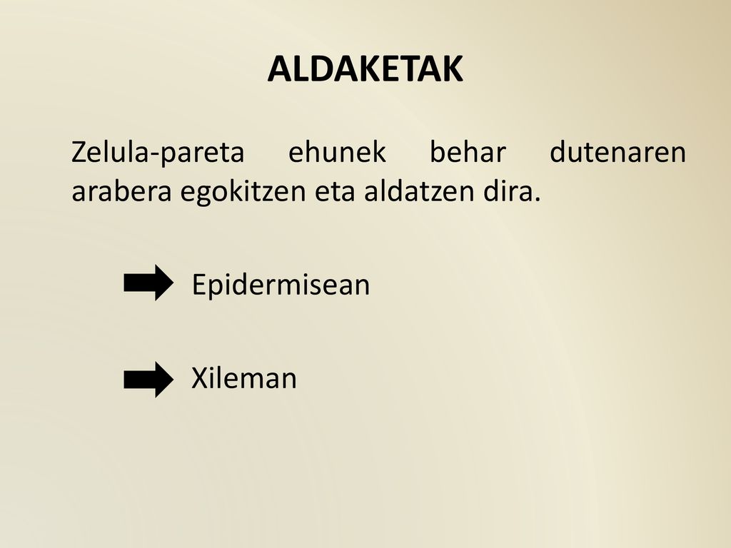 ALDAKETAK Zelula-pareta ehunek behar dutenaren arabera egokitzen eta aldatzen dira.