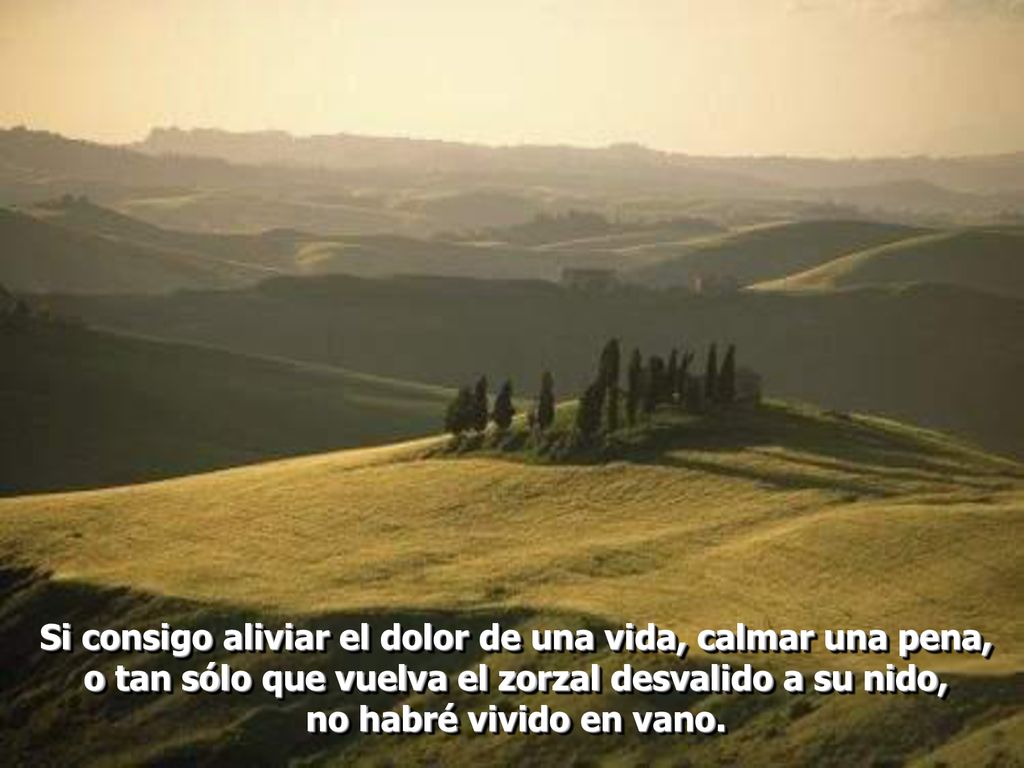Si consigo aliviar el dolor de una vida, calmar una pena, o tan sólo que vuelva el zorzal desvalido a su nido,