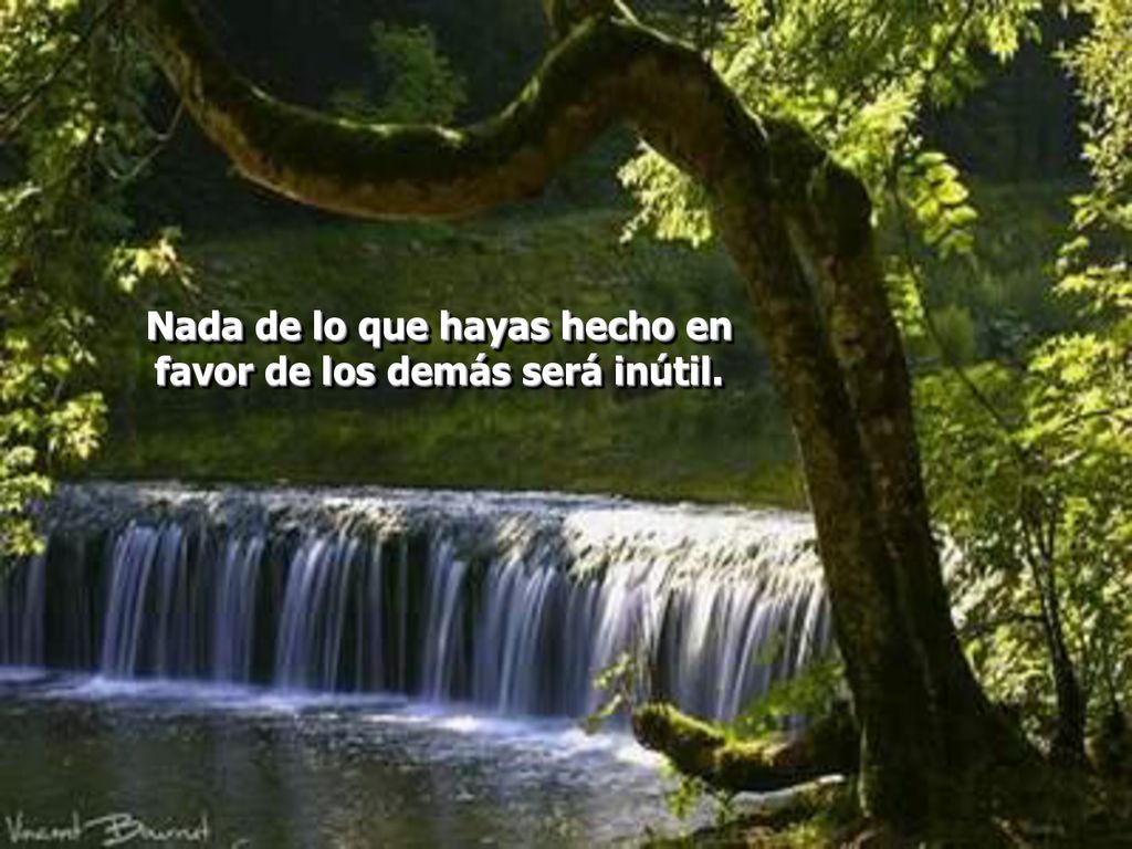 Nada de lo que hayas hecho en favor de los demás será inútil.
