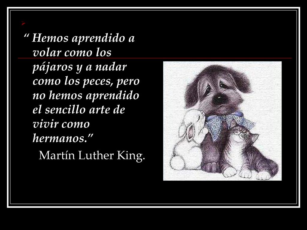 Hemos aprendido a volar como los pájaros y a nadar como los peces, pero no hemos aprendido el sencillo arte de vivir como hermanos.