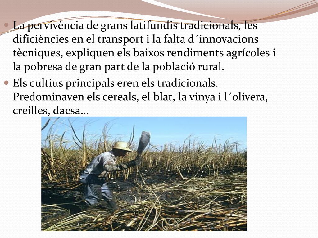 La pervivència de grans latifundis tradicionals, les dificiències en el transport i la falta d´innovacions tècniques, expliquen els baixos rendiments agrícoles i la pobresa de gran part de la població rural.