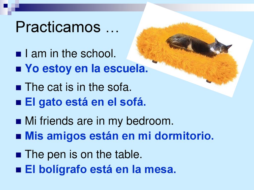 Practicamos … I am in the school. Yo estoy en la escuela.