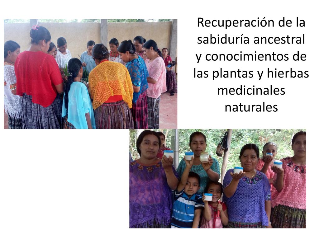 Recuperación de la sabiduría ancestral y conocimientos de las plantas y hierbas medicinales naturales