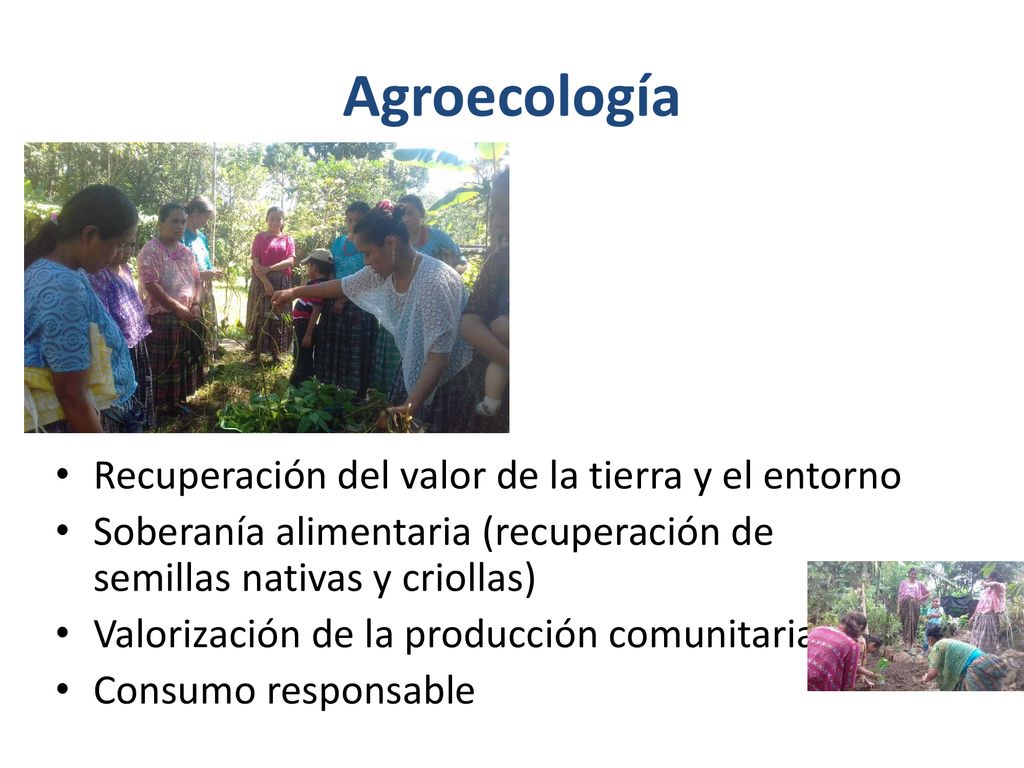 Agroecología Recuperación del valor de la tierra y el entorno