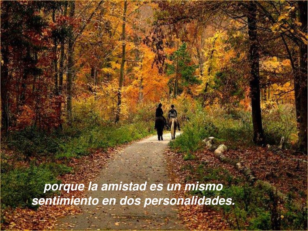 porque la amistad es un mismo sentimiento en dos personalidades.