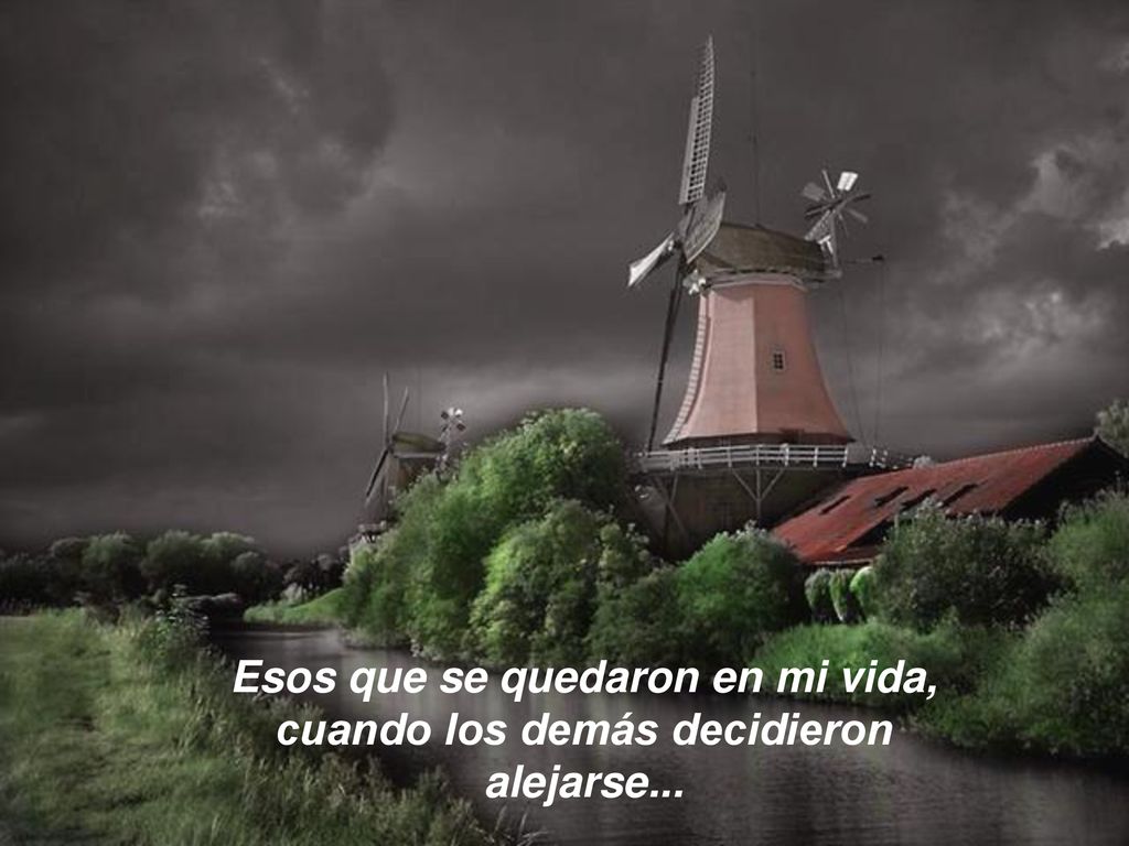 Esos que se quedaron en mi vida, cuando los demás decidieron alejarse...