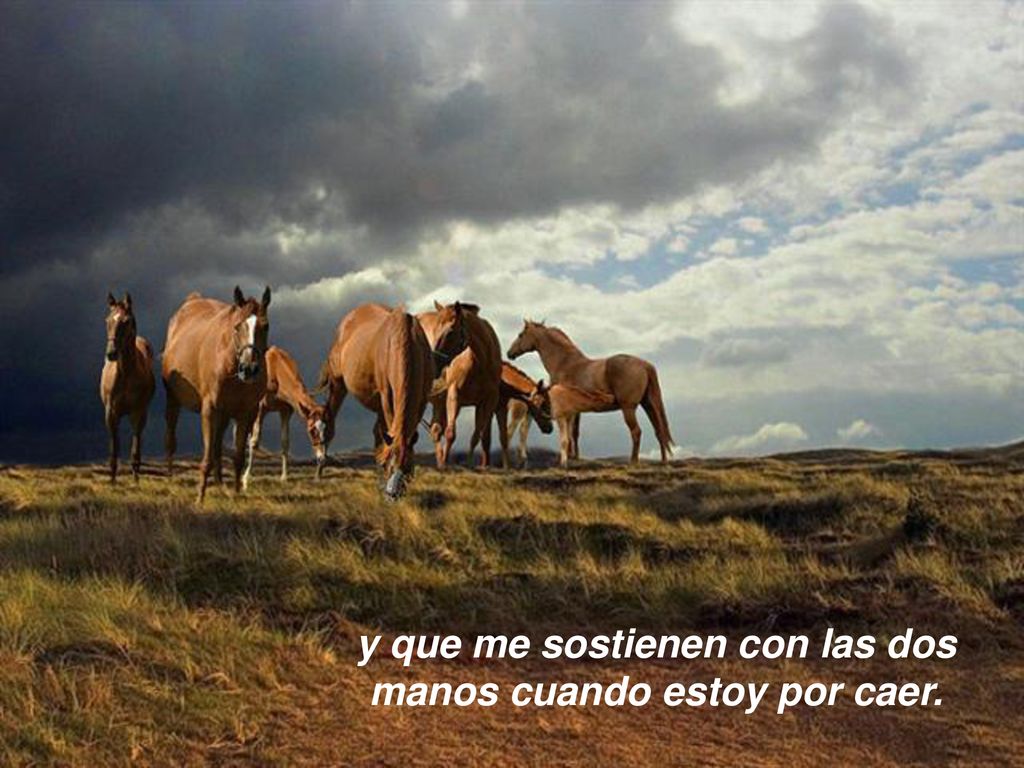 y que me sostienen con las dos manos cuando estoy por caer.