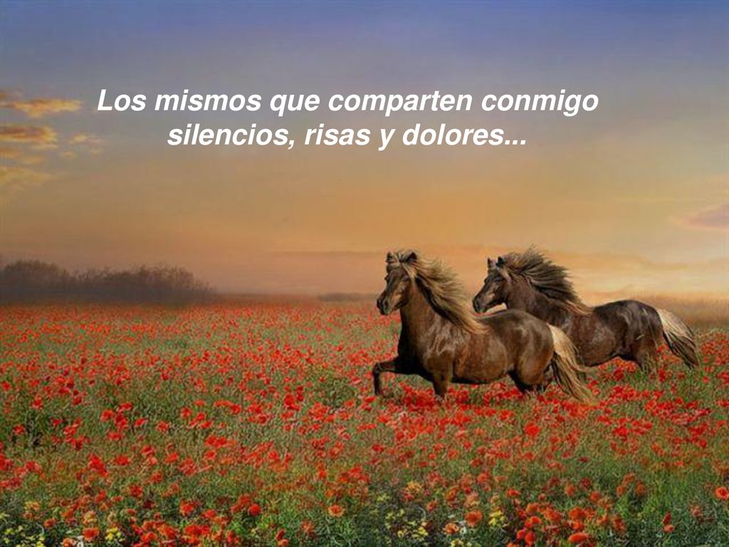 Los mismos que comparten conmigo silencios, risas y dolores...