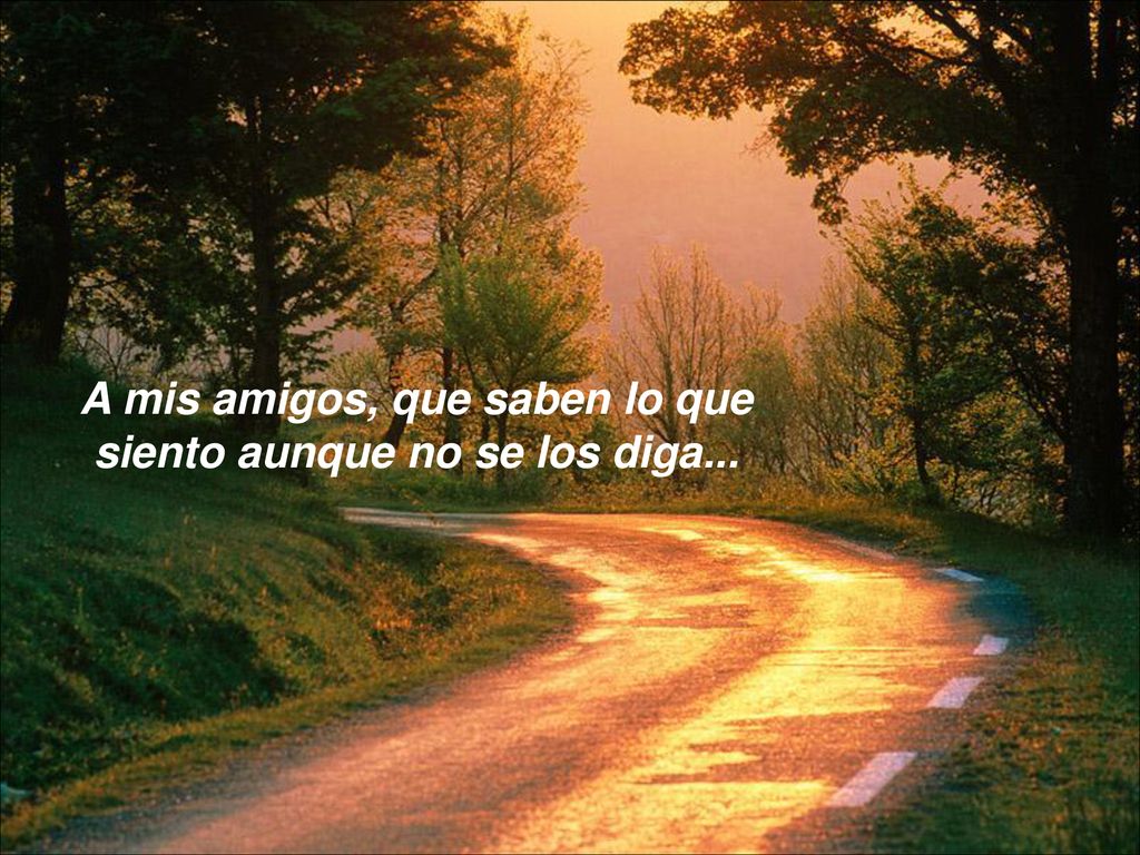 A mis amigos, que saben lo que siento aunque no se los diga...