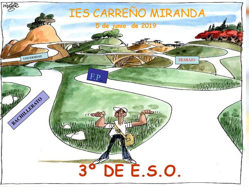 3º DE E.S.O. IES CARREÑO MIRANDA 2º de BACHILLERATO F.P.