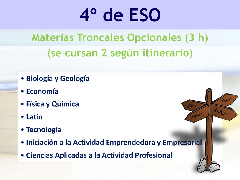Materias Troncales Opcionales (3 h) (se cursan 2 según itinerario)