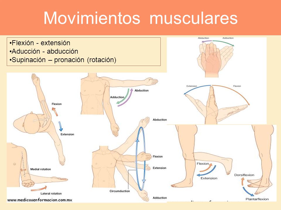 Movimientos musculares