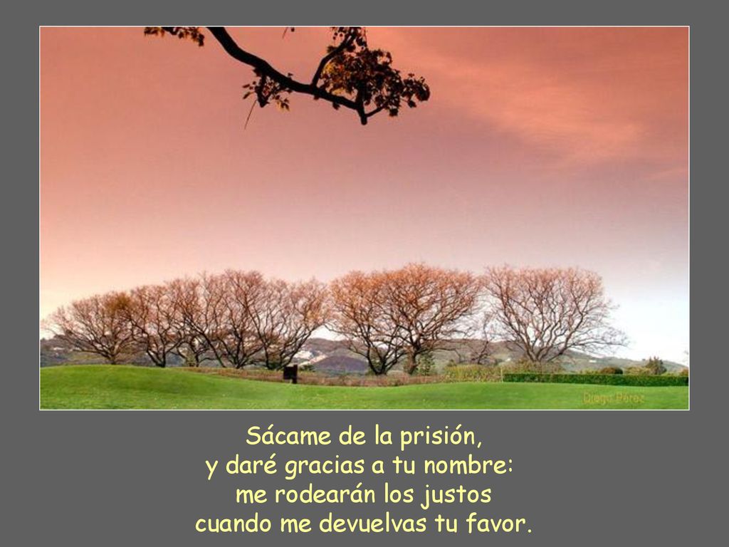 Sácame de la prisión, y daré gracias a tu nombre: me rodearán los justos cuando me devuelvas tu favor.