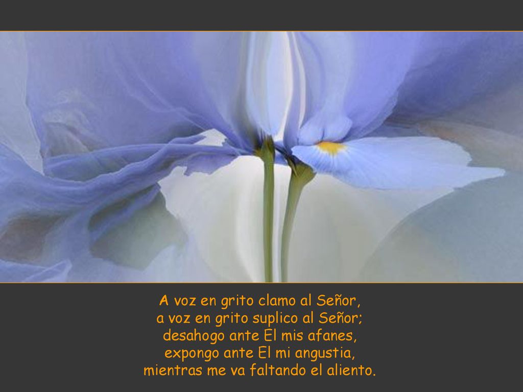 A voz en grito clamo al Señor, a voz en grito suplico al Señor; desahogo ante El mis afanes, expongo ante El mi angustia, mientras me va faltando el aliento.