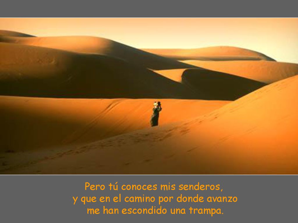 Pero tú conoces mis senderos, y que en el camino por donde avanzo me han escondido una trampa.