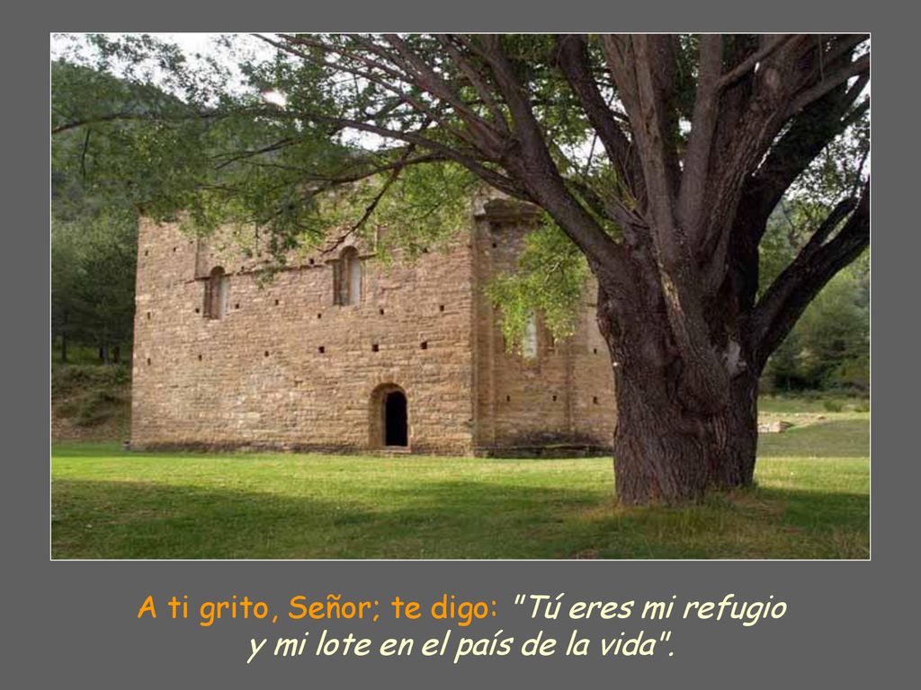A ti grito, Señor; te digo: Tú eres mi refugio y mi lote en el país de la vida .