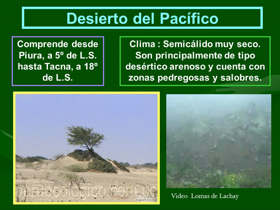 Comprende desde Piura, a 5º de L.S. hasta Tacna, a 18º de L.S.