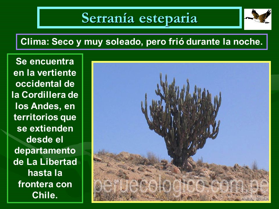 Clima: Seco y muy soleado, pero frió durante la noche.
