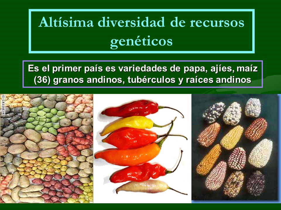 Altísima diversidad de recursos genéticos