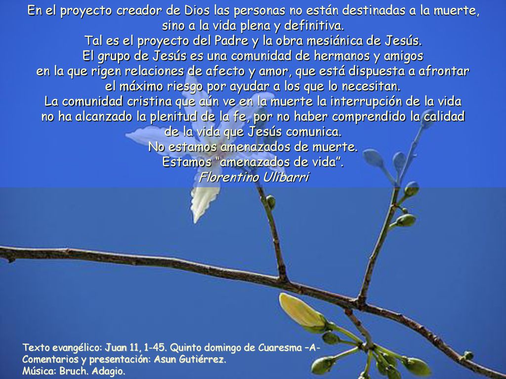 Tal es el proyecto del Padre y la obra mesiánica de Jesús.