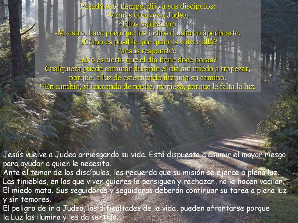 Pasado este tiempo, dijo a sus discípulos: -Vamos otra vez a Judea