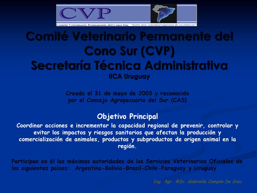 Comité Veterinario Permanente del Cono Sur (CVP) Secretaría Técnica Administrativa IICA Uruguay