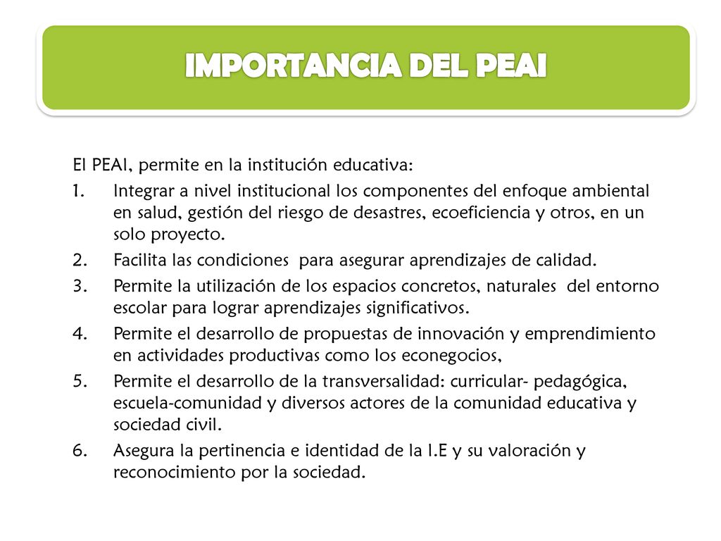 IMPORTANCIA DEL PEAI El PEAI, permite en la institución educativa: