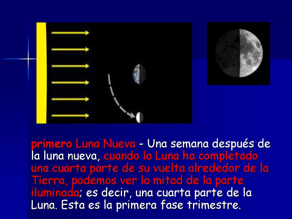 primero Luna Nueva - Una semana después de la luna nueva, cuando la Luna ha completado una cuarta parte de su vuelta alrededor de la Tierra, podemos ver la mitad de la parte iluminada; es decir, una cuarta parte de la Luna.