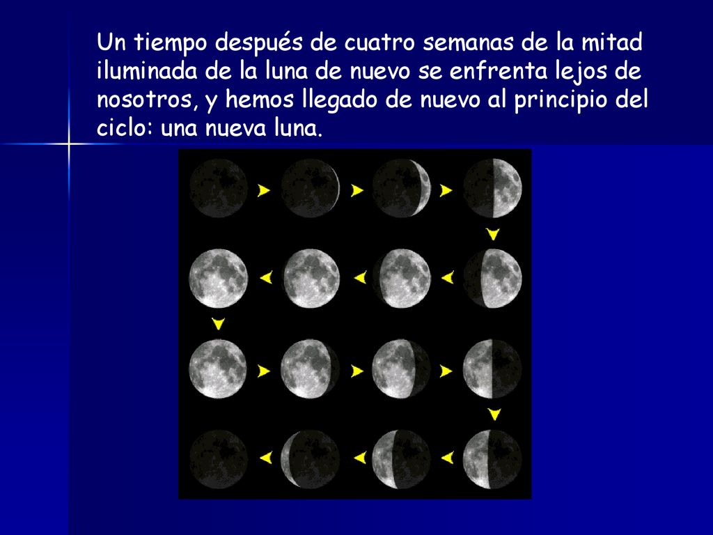Un tiempo después de cuatro semanas de la mitad iluminada de la luna de nuevo se enfrenta lejos de nosotros, y hemos llegado de nuevo al principio del ciclo: una nueva luna.