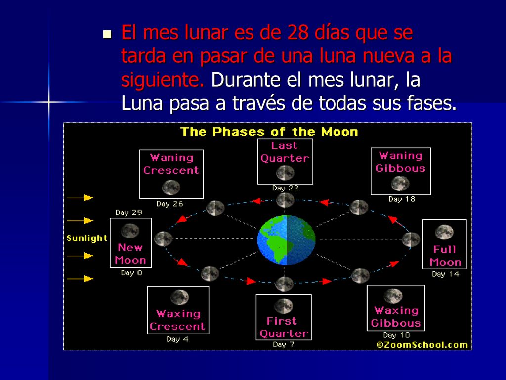 El mes lunar es de 28 días que se tarda en pasar de una luna nueva a la siguiente.