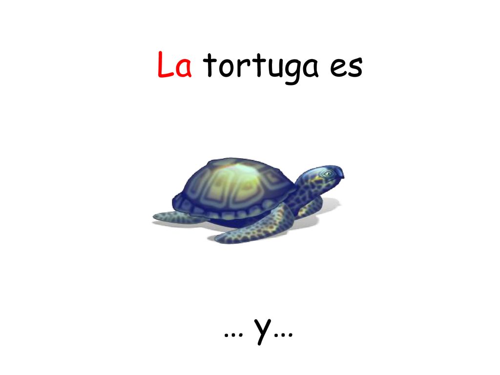 La tortuga es TES Resources - adapted … y…