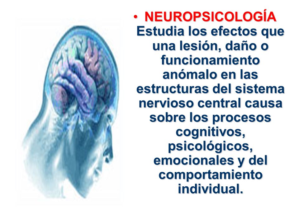 NEUROPSICOLOGÍA Estudia los efectos que una lesión, daño o funcionamiento anómalo en las estructuras del sistema nervioso central causa sobre los procesos cognitivos, psicológicos, emocionales y del comportamiento individual.