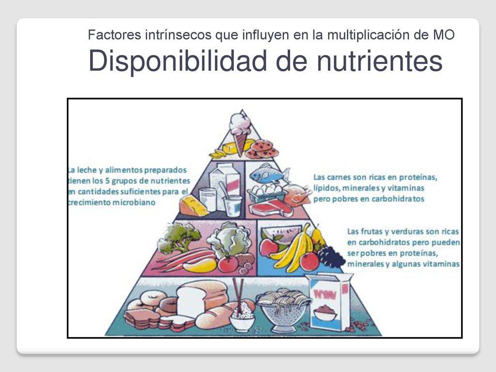 Factores intrínsecos que influyen en la multiplicación de MO Disponibilidad de nutrientes