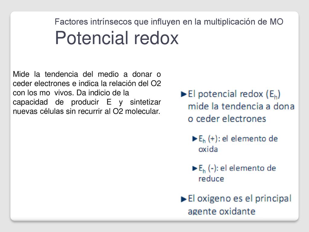 Factores intrínsecos que influyen en la multiplicación de MO Potencial redox