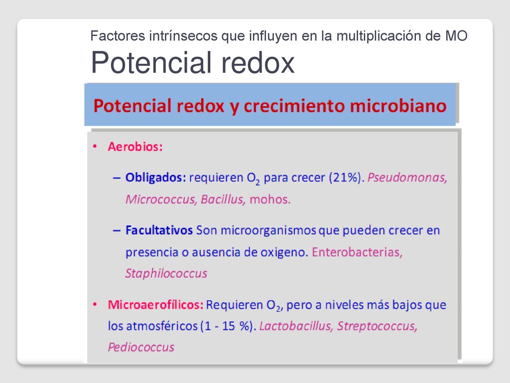 Factores intrínsecos que influyen en la multiplicación de MO Potencial redox